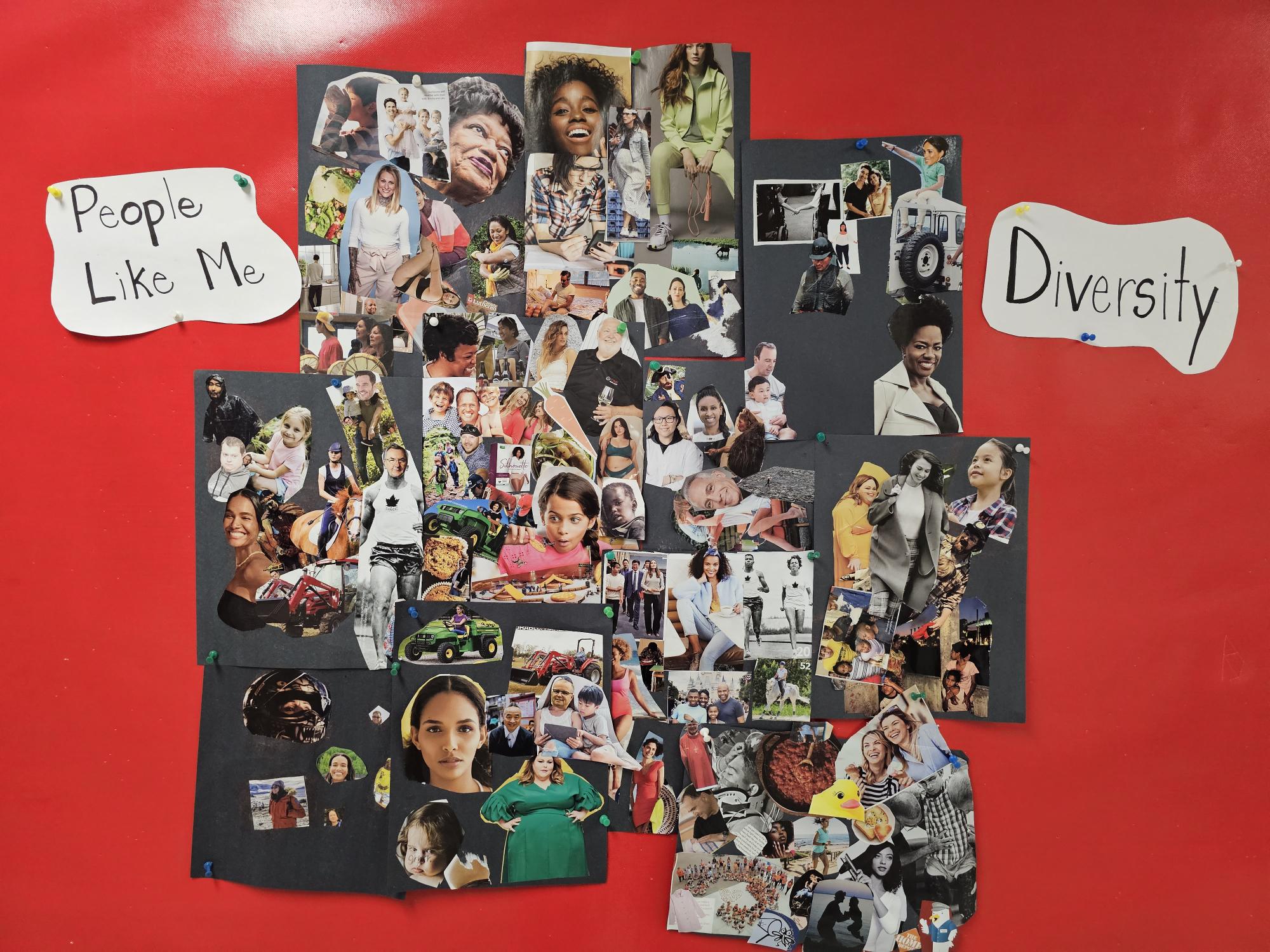 A collage of photos on a red wall</p>
<p>Description automatically generated