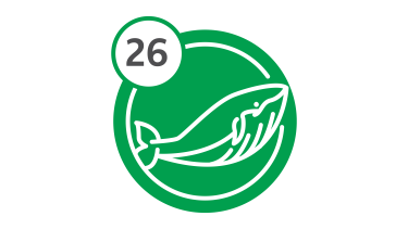 Bus Route 26 - Whale Bus Route 26 - Whale