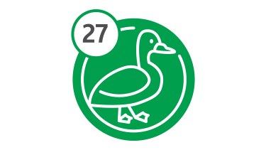 Bus Route 27 - Duck