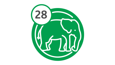 Bus Route 28 - Elephant