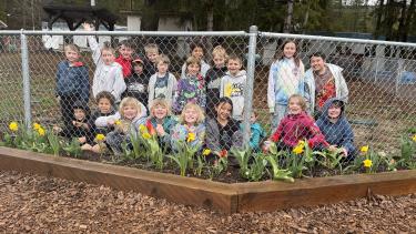 Golden Bulb Flower Contest